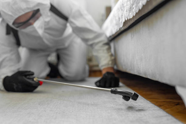 Professional Termite Control technician working in Sanborn, IA