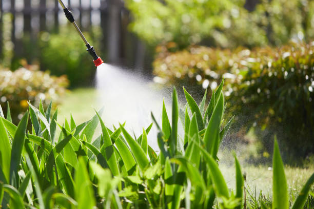 24/7 Emergency Termite Control experts in Sanborn, IA